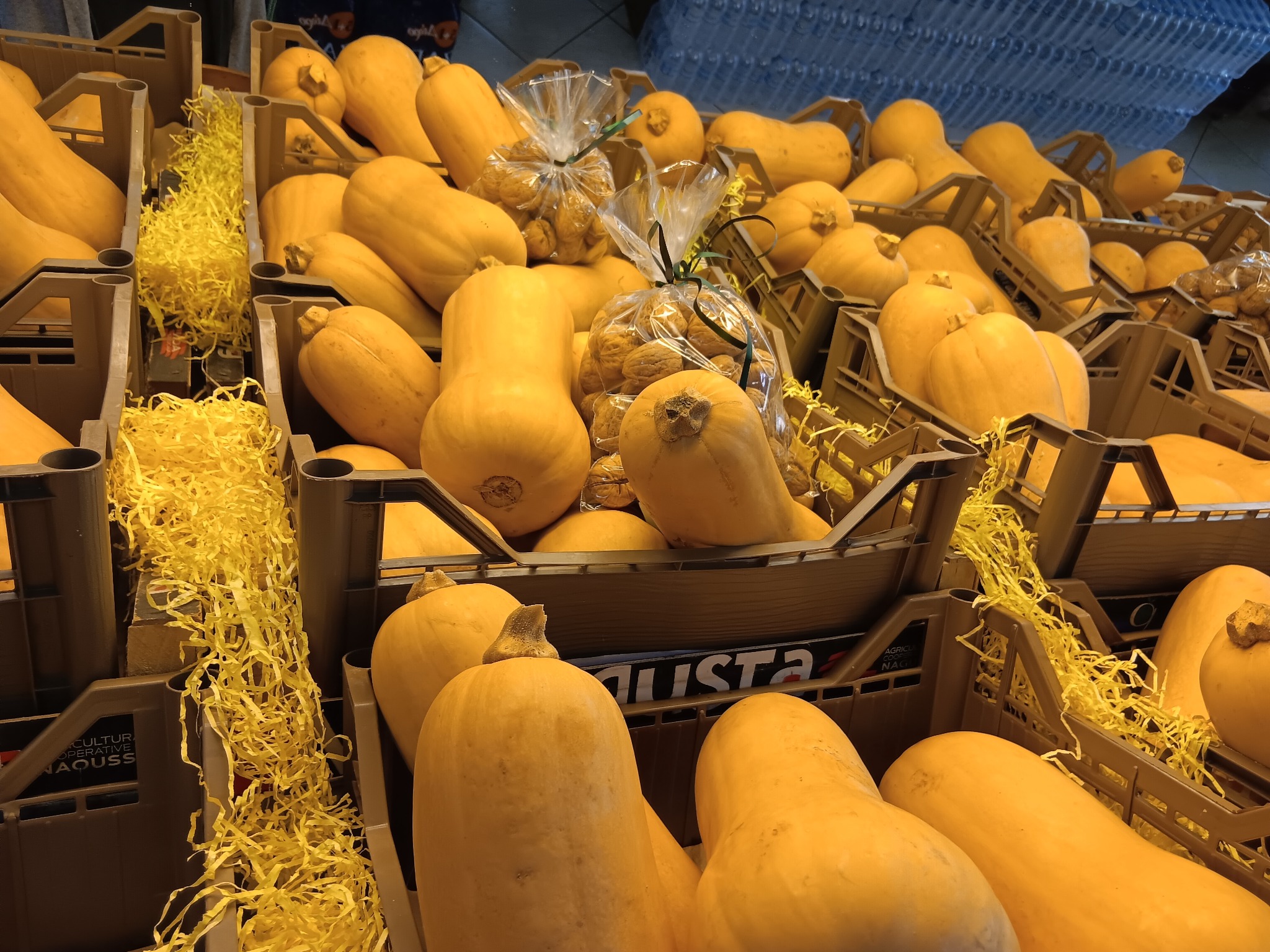 Φρέσκα φρούτα εποχής